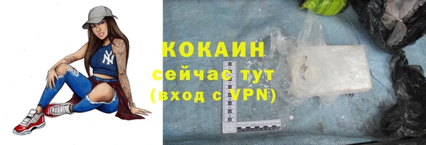 круглые Гусев