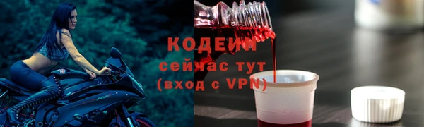 круглые Гусев