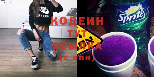 круглые Гусев
