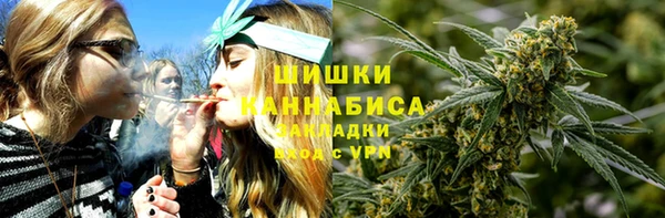 круглые Гусев