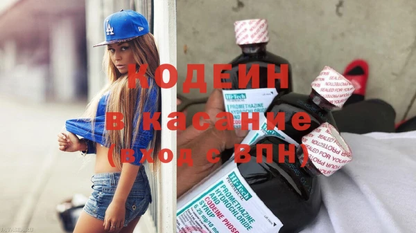 круглые Гусев