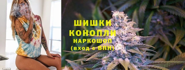круглые Гусев