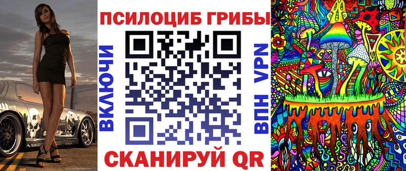 Псилоцибиновые грибы MAGIC MUSHROOMS  что такое наркотик  Нестеровская 